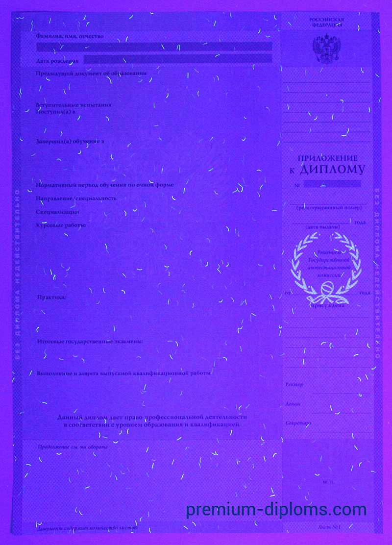 Диплом бакалавра 2004-2009 год фото
